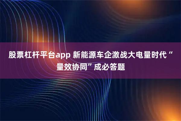 股票杠杆平台app 新能源车企激战大电量时代“量效协同”成必答题